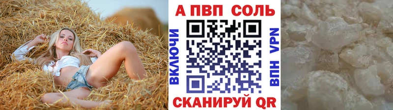 APVP Петропавловск-Камчатский