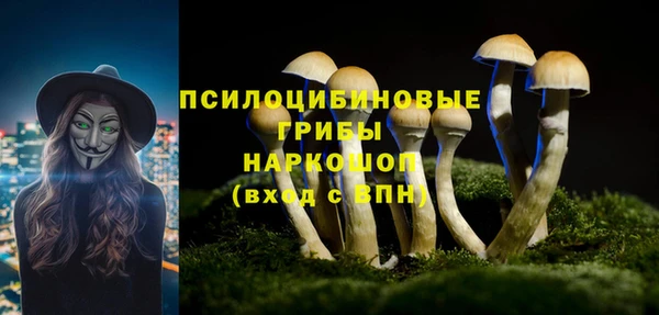 соль ск Пролетарск