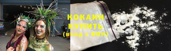 твердый Новодвинск