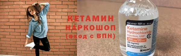 твердый Новодвинск