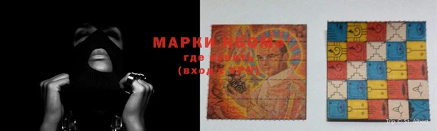 твердый Новодвинск