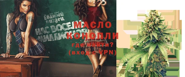 мдпв Няндома