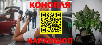 индика Бийск