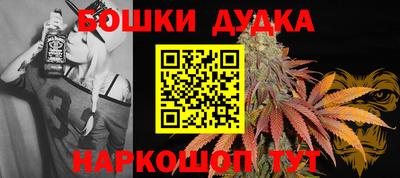 индика Бийск