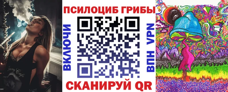 shop формула Петропавловск-Камчатский Галлюциногенные грибы Psilocybe