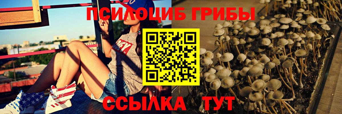 Псилоцибиновые грибы прущие грибы Петропавловск-Камчатский