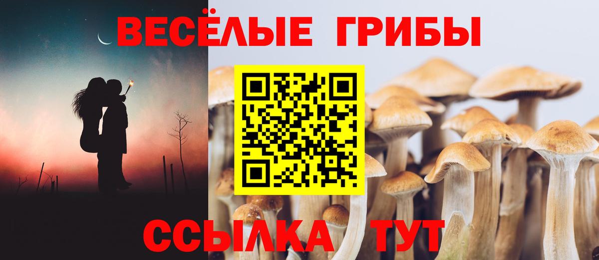 Петропавловск-Камчатский  Псилоцибиновые грибы мицелий  Вход с VPN 
