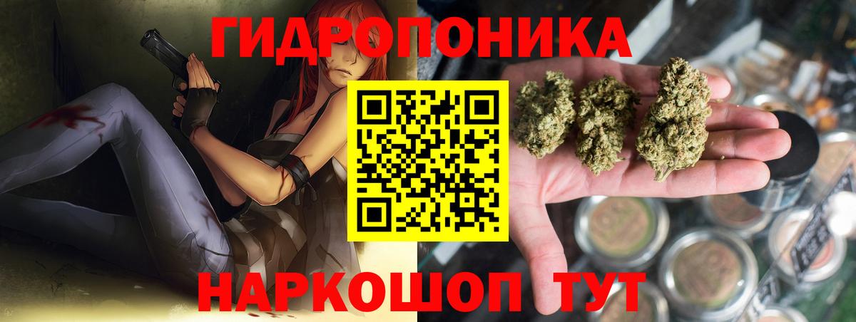 Бошки Шишки сатива  Канабис Amnesia  Каннабис THC 21%  Вход с VPN  Петропавловск-Камчатский 